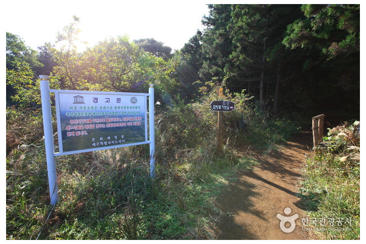 거문오름 여행 추천 - 메고지고