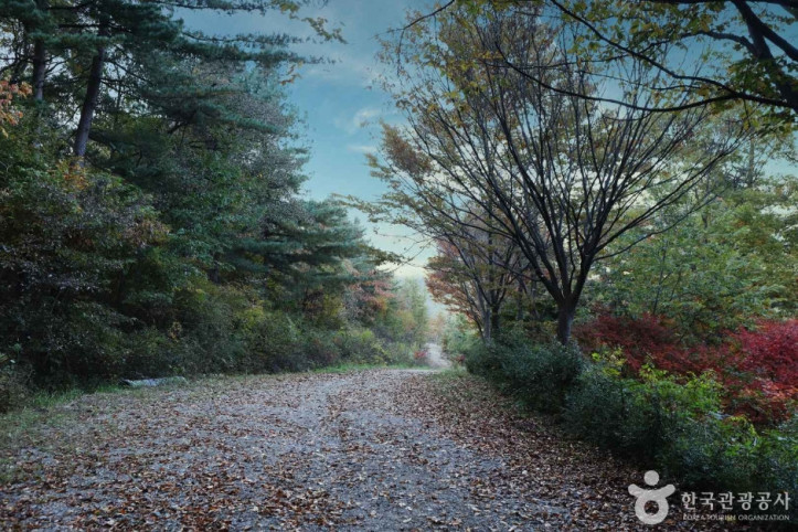 서후리숲_9_공공3유형.jpg