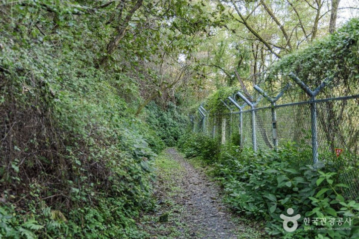 소이산_생태숲_녹색길_4_공공1유형.jpg