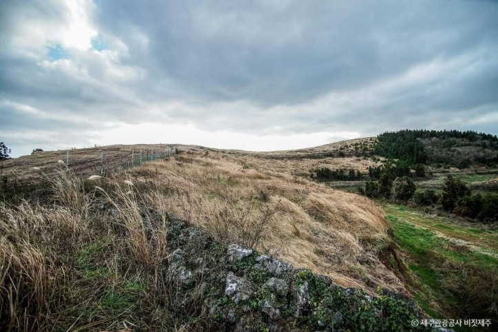 뒤굽은이오름_4_공공3유형.jpg
