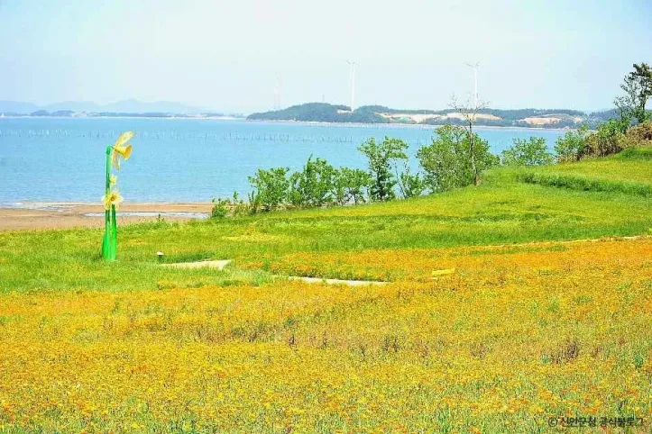 선도 여행 추천 - 메고지고