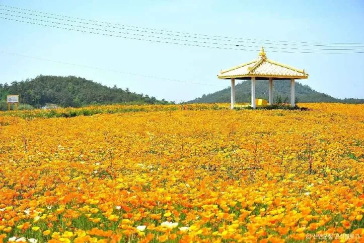 선도 여행 추천 - 메고지고