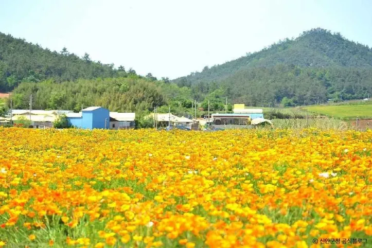 선도 여행 추천 - 메고지고