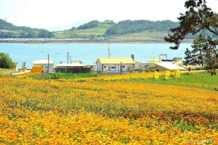 선도 여행 추천 - 메고지고