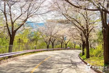 건봉령승호대 여행 추천 - 메고지고