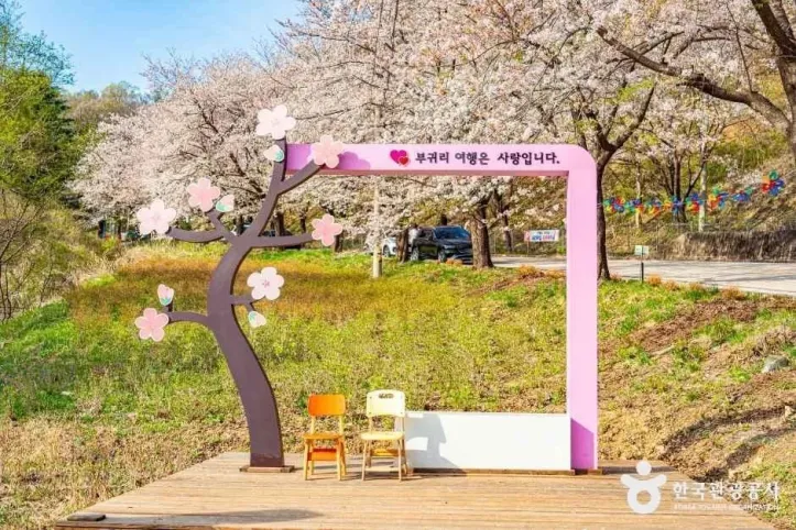 부귀리벚꽃길 여행 추천 - 메고지고