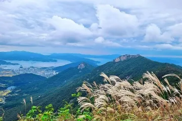 임내숲 어린이공원 여행 추천 - 메고지고