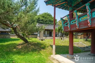 거창은행나무길 여행 추천 - 메고지고