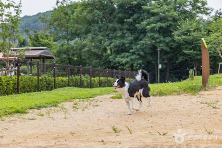 인천대공원_반려동물_놀이터_3_공공1유형.jpg