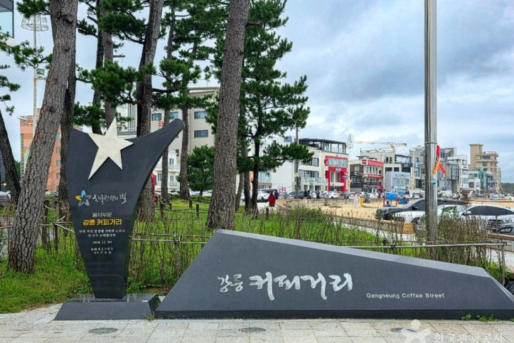 강릉커피거리 여행 추천 - 메고지고