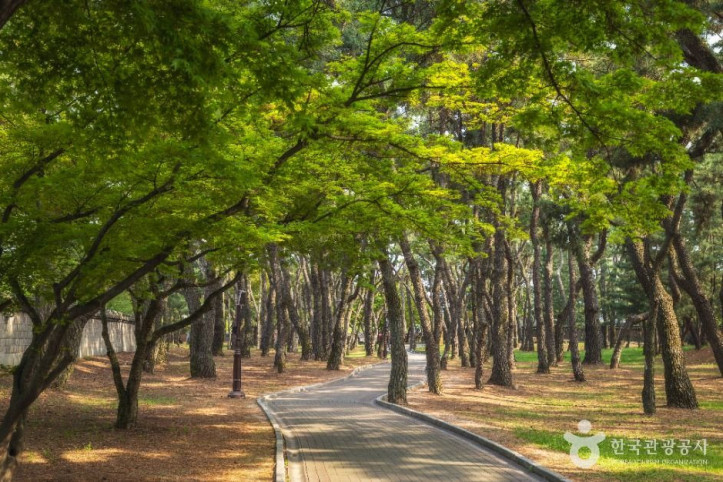 경주 대릉원 일원 여행 추천 - 메고지고