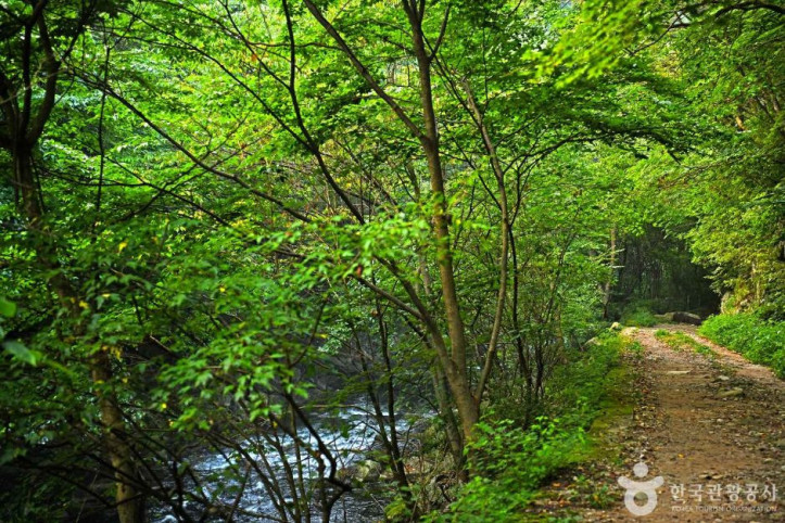 덕산계곡_2_공공3유형.JPG