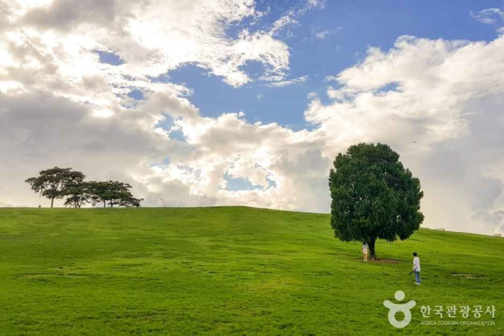 올림픽공원_1_공공1유형.jpg