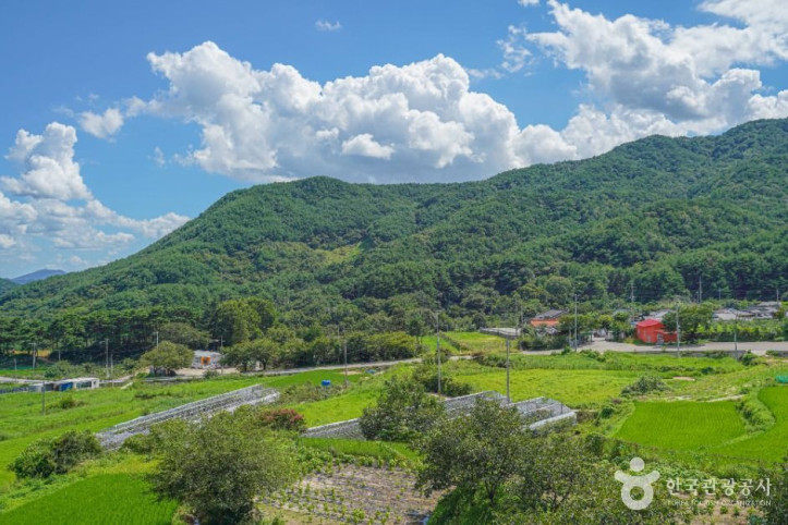 다옴농촌체험휴양마을_5_공공1유형.jpg