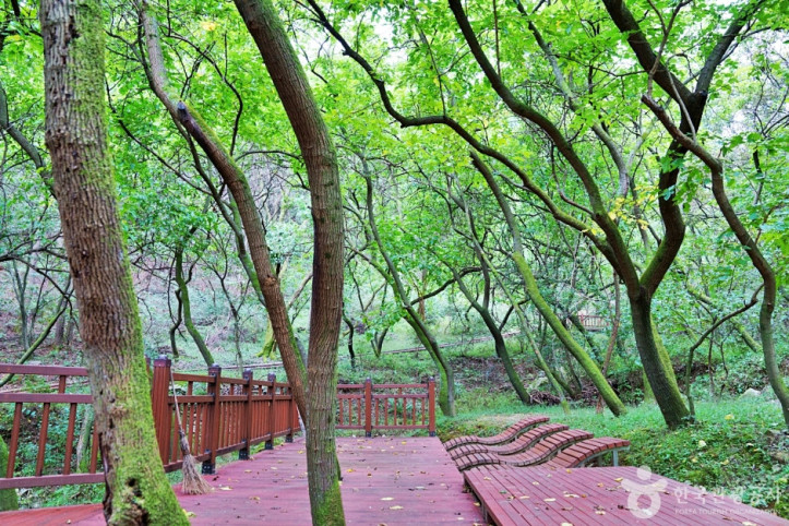 생거진천치유의숲_2_공공3유형.JPG