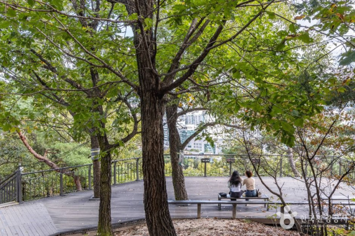 봉화산(서울) 여행 추천 - 메고지고