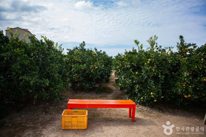 제주송정농원_2_공공3유형.jpg
