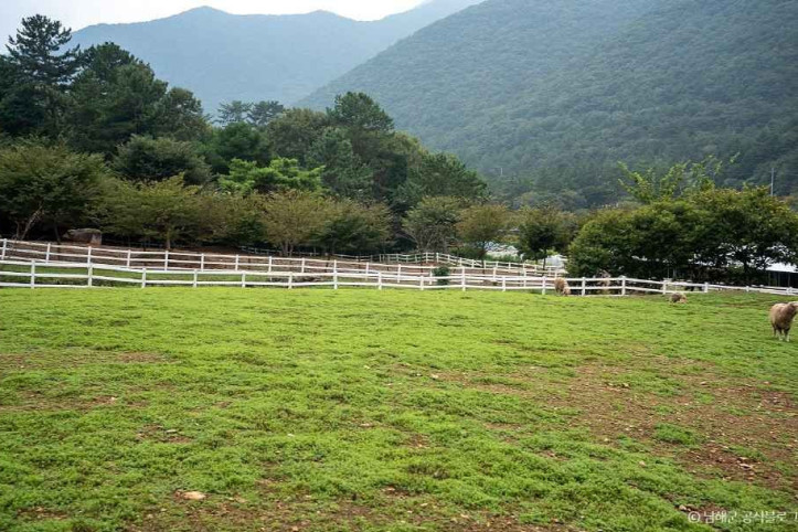 남해양떼목장_양마르뜨언덕_5_공공3유형.jpg