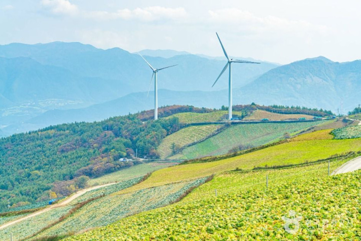 매봉산풍력발전단지(바람의_언덕)_6_공공1유형.jpg