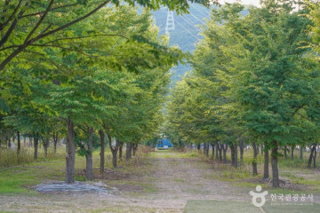 선샤인밀양테마파크 여행 추천 - 메고지고