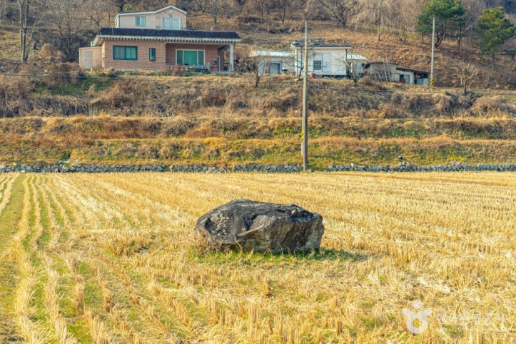 산청특리지석묘군 여행 추천 - 메고지고