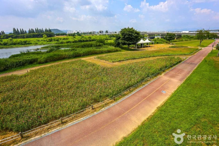 영산강_자전거길_3_공공3유형.jpg