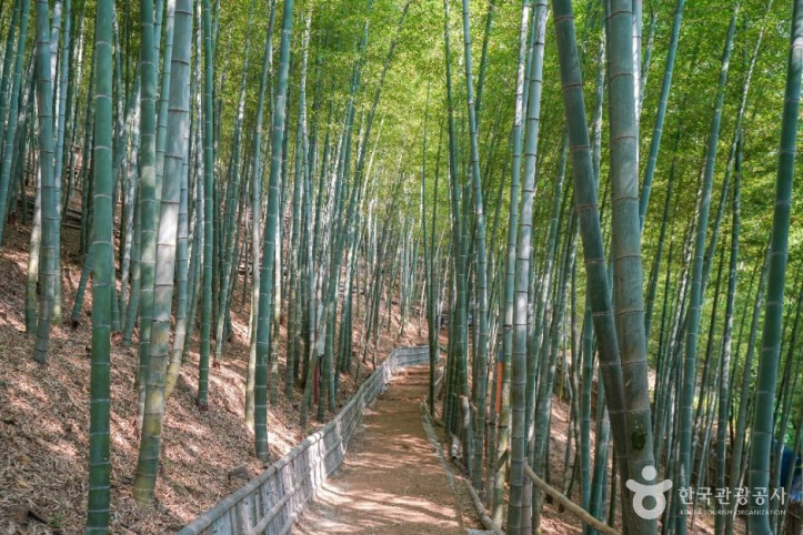 거제맹종죽테마공원_6_공공1유형.jpg