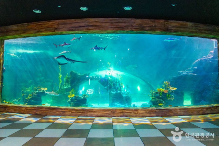 플레이_아쿠아리움_부천_5_공공1유형.jpg