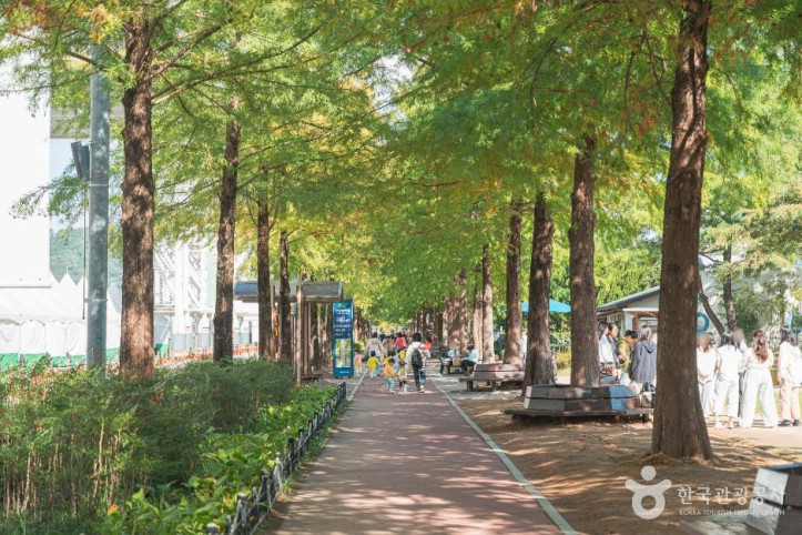 대전엑스포시민광장 여행 추천 - 메고지고