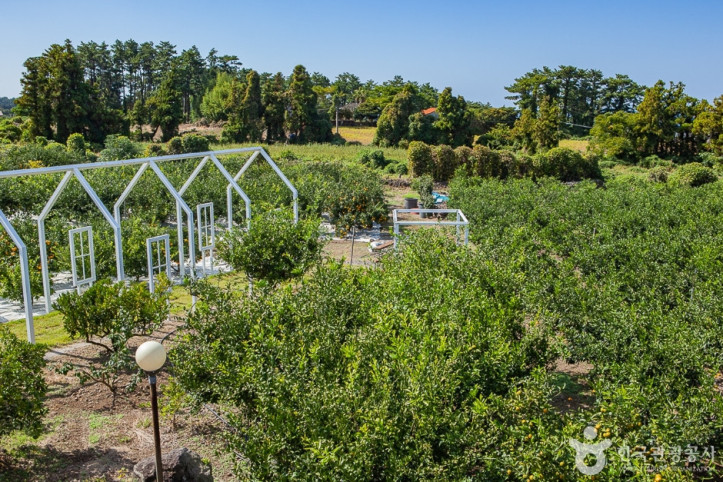맛동산_감귤체험농장_5_공공3유형.jpg