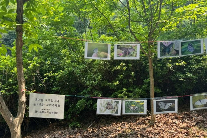 청사초롱_유아숲체험원_6_공공3유형.jpg