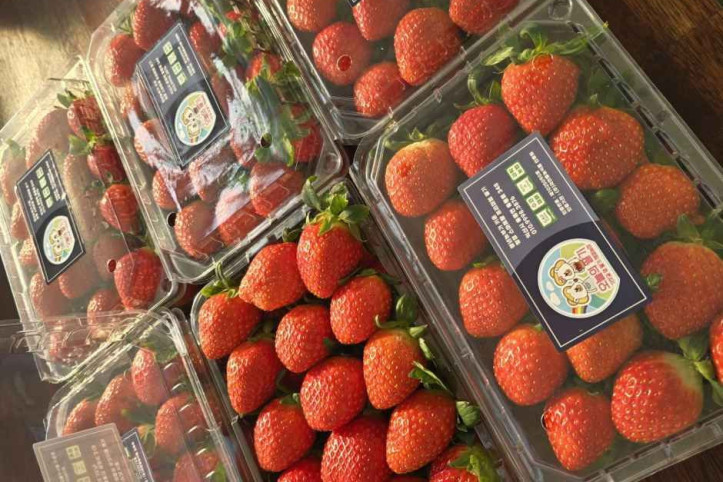 오늘의_딸기_5_공공3유형.jpg