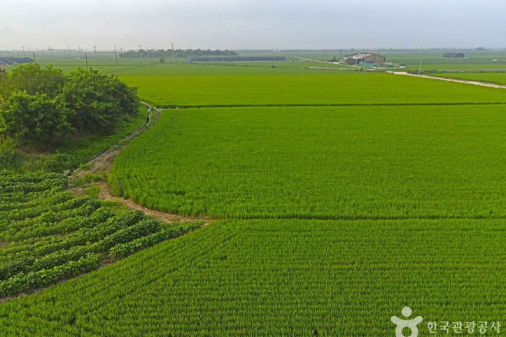 김제평야_5_공공3유형.JPG