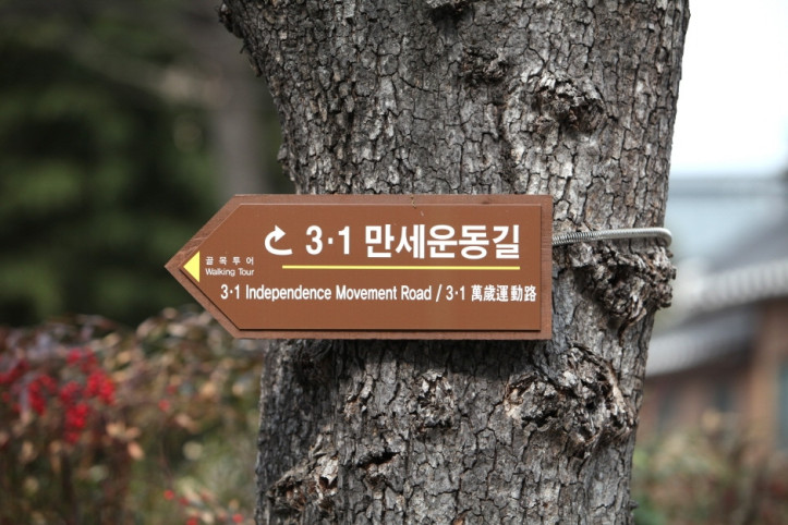 3·1만세운동길 여행 추천 - 메고지고