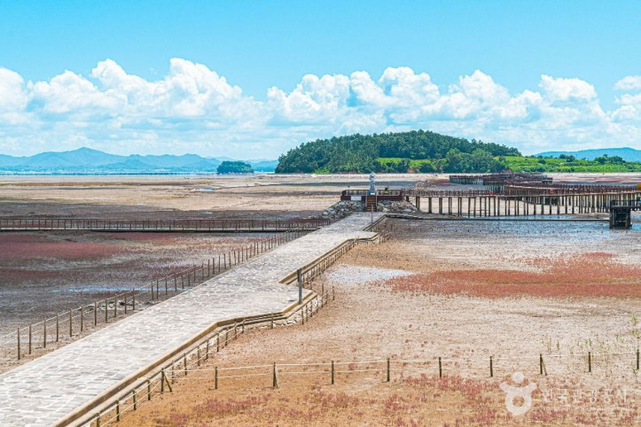 무안황토갯벌랜드_1_공공1유형.jpg