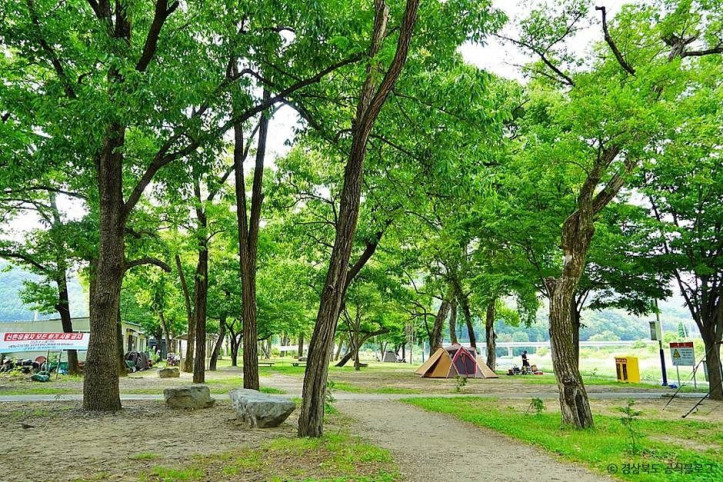 고령 신촌숲 여행 추천 - 메고지고