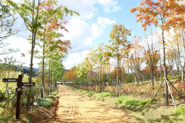 충주 시민의 숲 여행 추천 - 메고지고