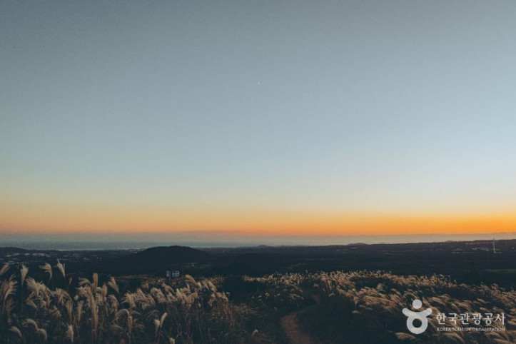 따라비_오름_4_공공1유형.jpg