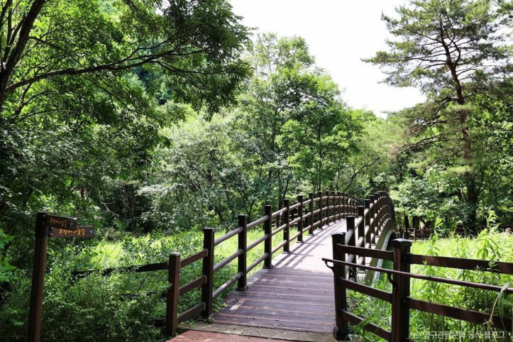 광치자연휴양림_4_공공3유형.jpg