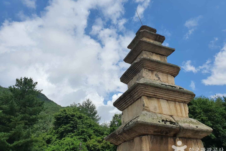 충주_미륵리_오층석탑_3_공공3유형.jpeg
