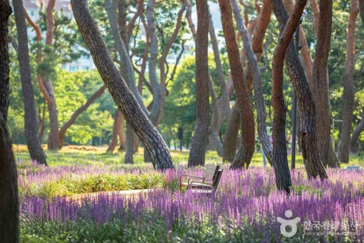 황성공원 여행 추천 - 메고지고