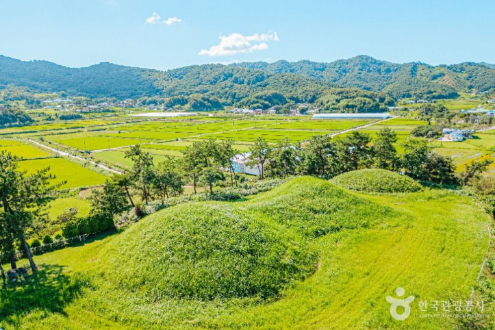 함평예덕리고분군_1_공공1유형.jpg