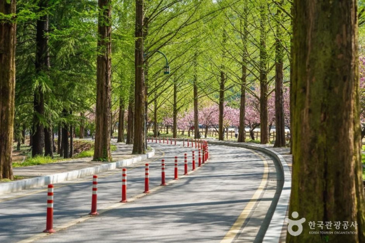 금오산도립공원 여행 추천 - 메고지고