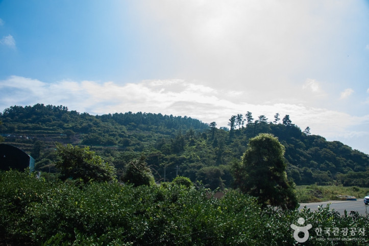 안덕월라봉_8_공공3유형.jpg