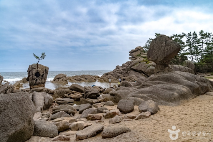 송지호해안_서낭바위_(강원평화지역_국가지질공원)_4_공공3유형.jpg