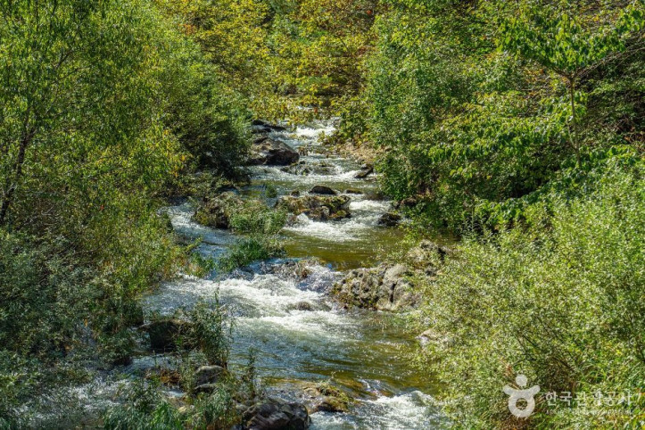 내심적계곡_5_공공1유형.jpg