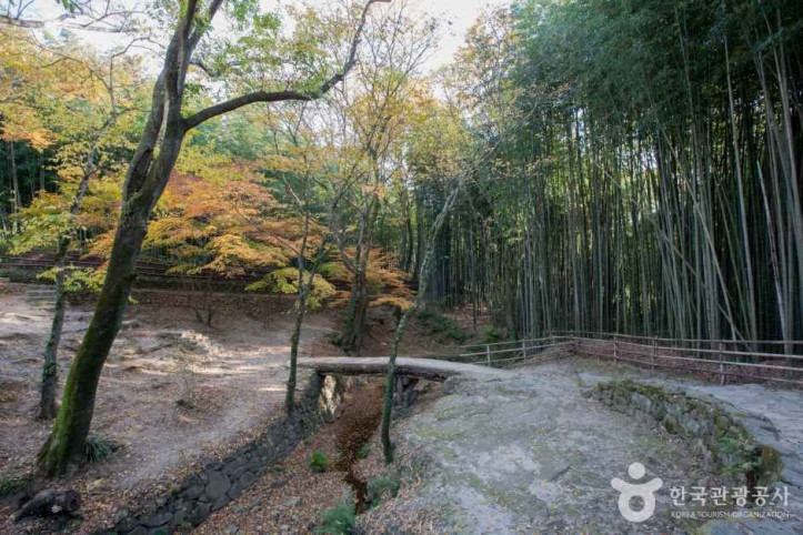 담양 소쇄원 여행 추천 - 메고지고