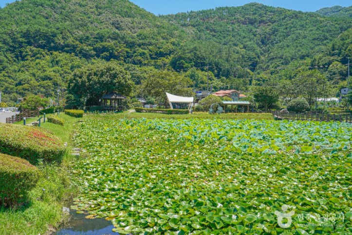 상리연꽃공원_1_공공3유형.jpg