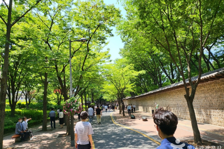 덕수궁_돌담길_2_공공3유형.jpg