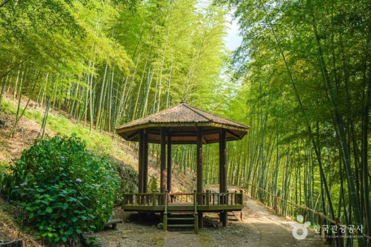 거제맹종죽테마공원_2_공공1유형.jpg